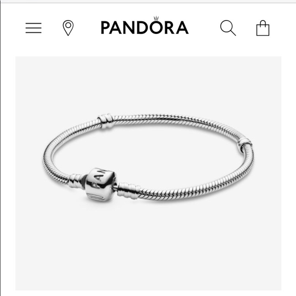 Pandora Moments Charm bracelet